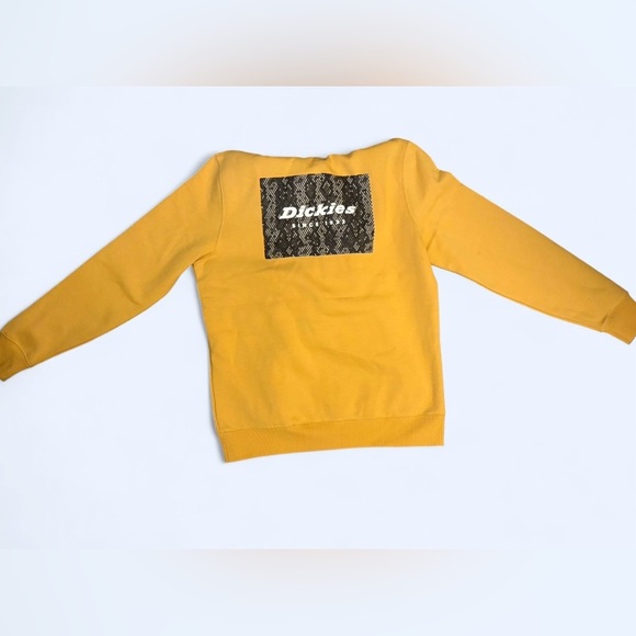 Dickies Men's Camden Box Graphic Hoodie Size Large - NEW WITH TAGS - Picture 9 of 13